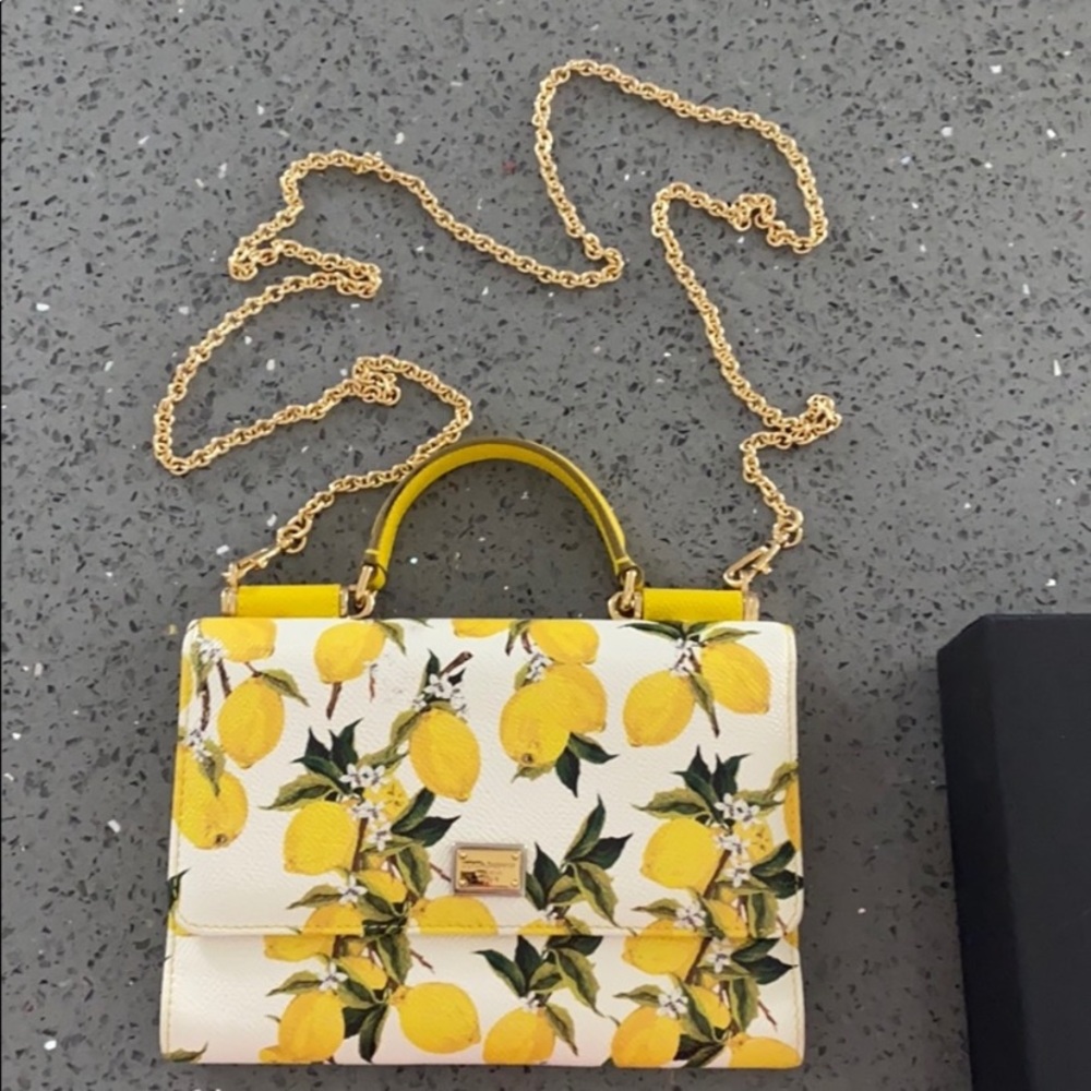 Dolce and Gabbana small purse